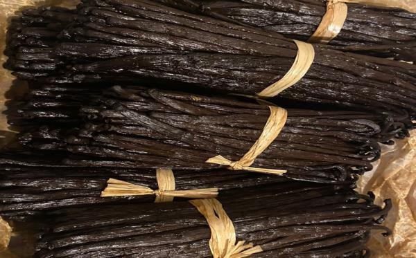 vanille gasi spices