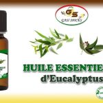 Huile essentielle Eucalyptus flacon de 10ml