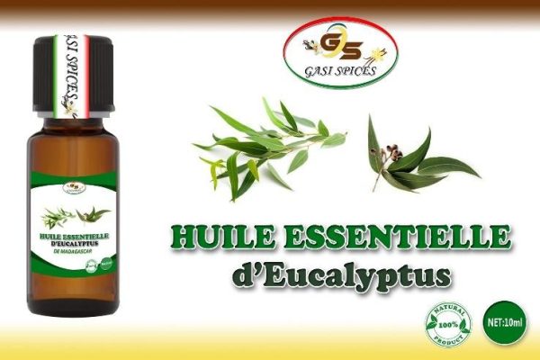 Huile essentielle Eucalyptus flacon de 10ml
