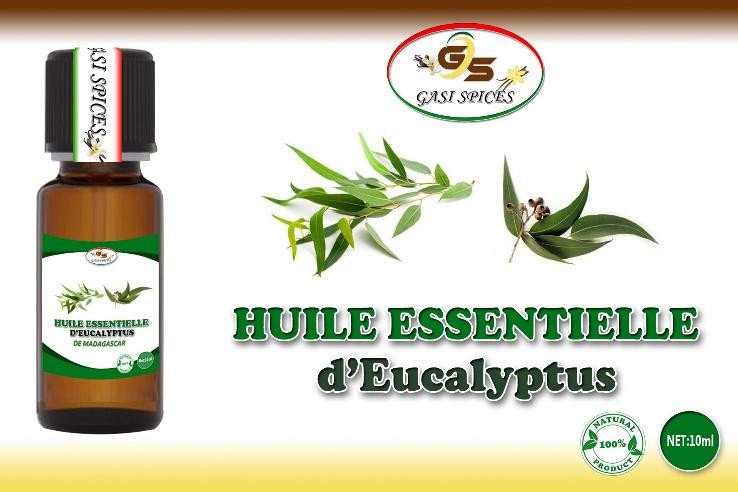 Huile essentielle Eucalyptus flacon de 10ml