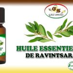 Huile essentielle de Ravintsara flacon de 10ml